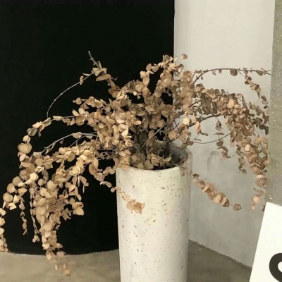 兽设星空场景设计兽圈社群